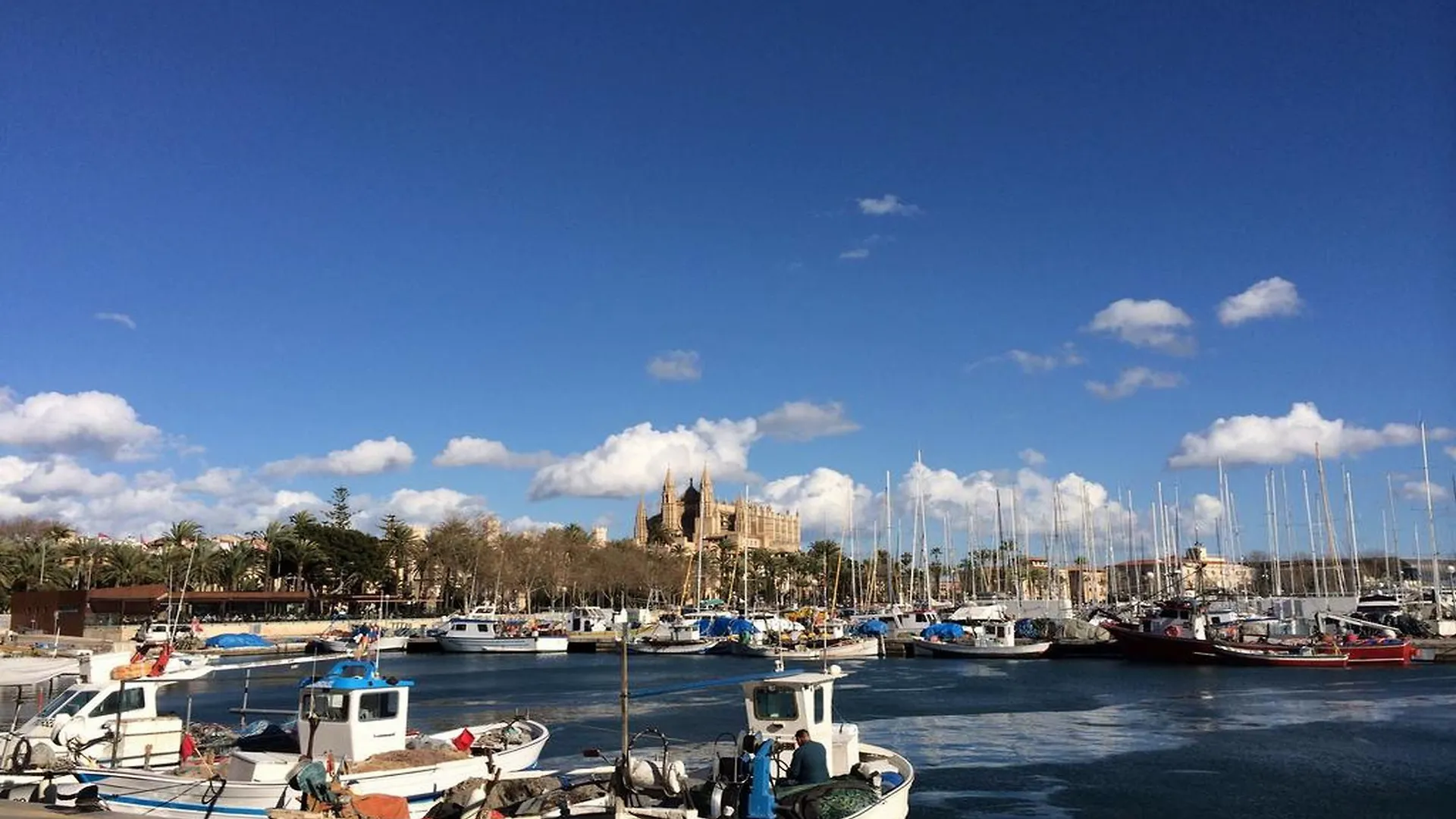Hotel ICON Rosetó Palma de Mallorca